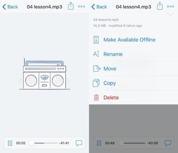Различные способы воспроизведения аудиокниг на устройствах iOS